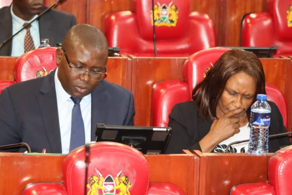 TSC Acting CEO Eveleen Mitei before the National Assembly Education Committee