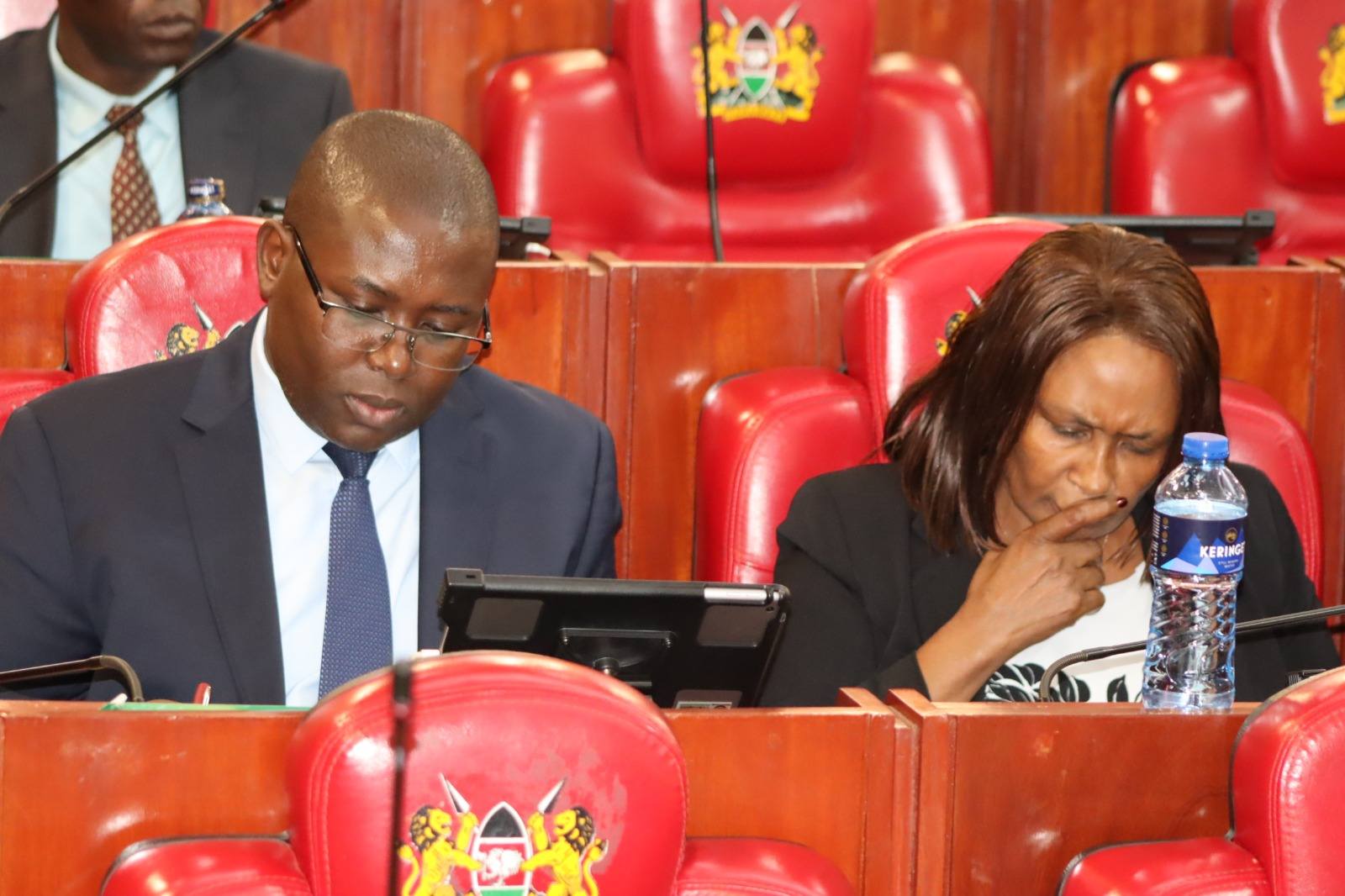 TSC Acting CEO Eveleen Mitei before the National Assembly Education Committee