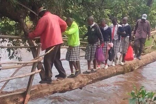 Pupils crossing a wooden bridge in Bomet County. Parents in Bomet County have been urged to closely monitor their children as heavy rains continue to pound the region, raising fears of flooding and dangerous river crossings.