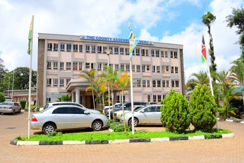 Meru MCA tables motion on street children rehabilitation and reintegration 2 meru