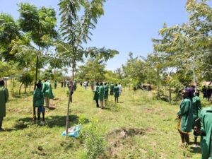 How Kitelakapel TTI Is driving Kenya’s 15 billion tree campaign 2 tree