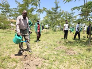 How Kitelakapel TTI Is driving Kenya’s 15 billion tree campaign 3 tree