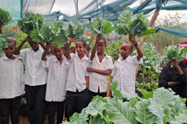 Yathrib Comprehensive School thriving half-acre farm where students grow vegetables, particularly sukuma wiki (kale).