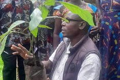 Retired teachers during avocado planting training
