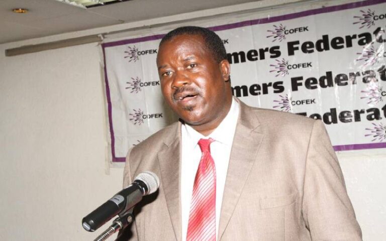 COFEK Chairman Stephen Mutoro