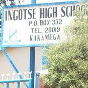 Ingotse