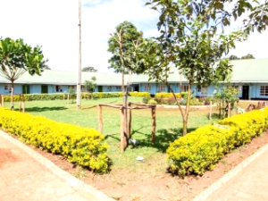 Kitumbe Primary School which has also been affected by mechanization. Lack of students has seen the institution shut down.