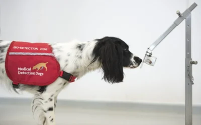 A UK Sniffing dog