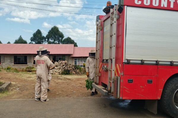 Bomet