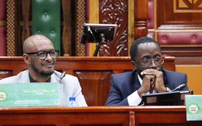 Mandera South MP Abdul Haro (R) and Kitutu Masaba MP Clive Gisairo during public participatipn for the Education reform Bills at County Hall, Nairobi